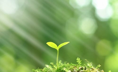 推廣測土配方施肥技術(shù)的有哪些好處？